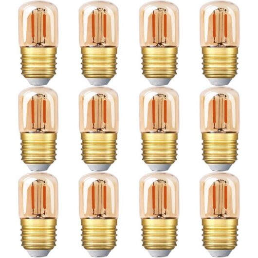 Aougo - Mini Tubular led Light Bulb, 1W T28 Edison led Filament Bulb E27 Screw Base 2200K Super Warm White Light Bulb for Decorative Non Dimmable