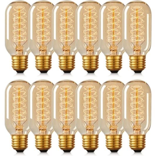 12 T45 Edison Bulbs 40W Retro Spiral Tungsten Lamp 220V