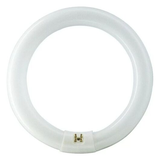 EHL - Philips 840551 Circular G10q 32W 865 master tl-e Super 80 Bulb