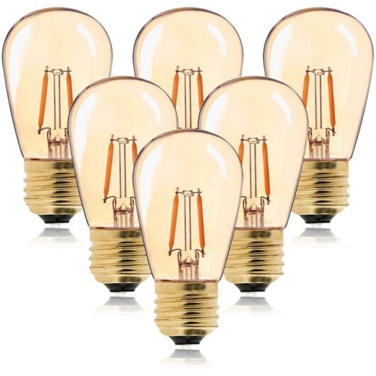 Vintage Edison Filament LED Light Bulb ST45 E27, 1W Equivalent, 10W Incandescent Bulbs, 2200K Super Warm White, Gold Glass Decorative Lamp,