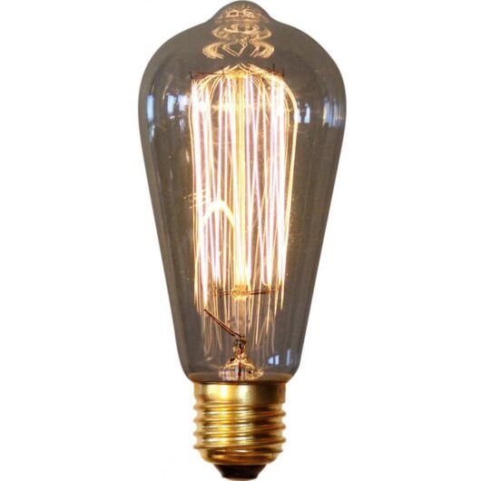 Vintage Edison Bulb - Squirrel Transparent