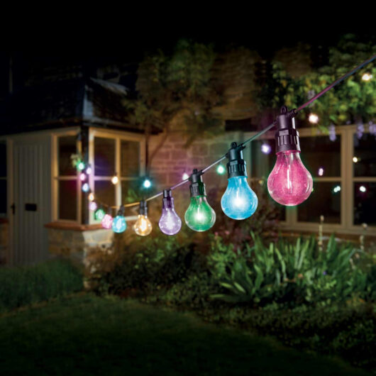 Eureka LED Festoon Light (Set of 20 Lights) Multi-Coloured Clear Decor Connectible Festoon Light Decking Coloured Patio Lights