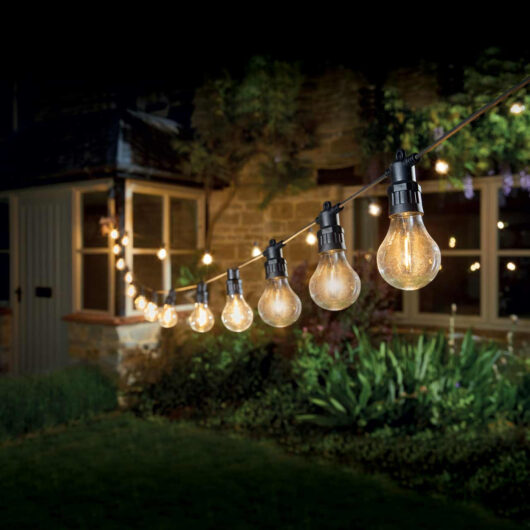 Eureka LED Festoon Light (Set of 20 Lights) Warm White Clear Decor Connectible Festoon Light Decking Coloured Patio Lights