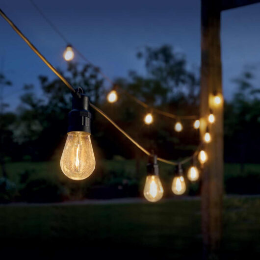 Eureka LED Festoon Light (Set of 20 Lights) Warm White Clear Vintage Connectible Festoon Light Decking Coloured Patio Lights