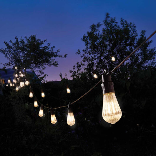 Eureka LED Festoon Light (Set of 20 Lights) Warm White Fluted Connectible Festoon Light Decking Coloured Patio Garden Lights