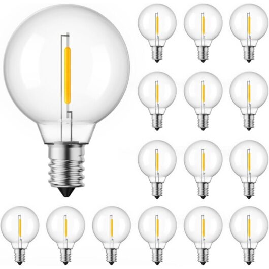 15 Pieces G40 LED Replacement Bulbs - Unbreakable 1.57" Globe Bulb with E12 Base, 1 W (equivalent to 5 W), Warm White Light for Outdoor Lights