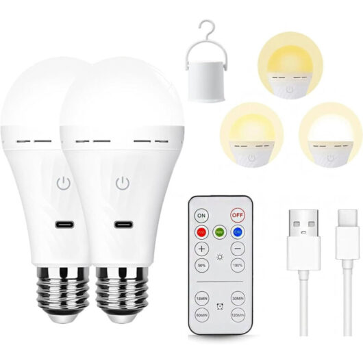 2 LED E27 USB-C Rechargeable Bulbs - 5W - 2200 mAh - Tricolor Light - Remote - Convenient Timer