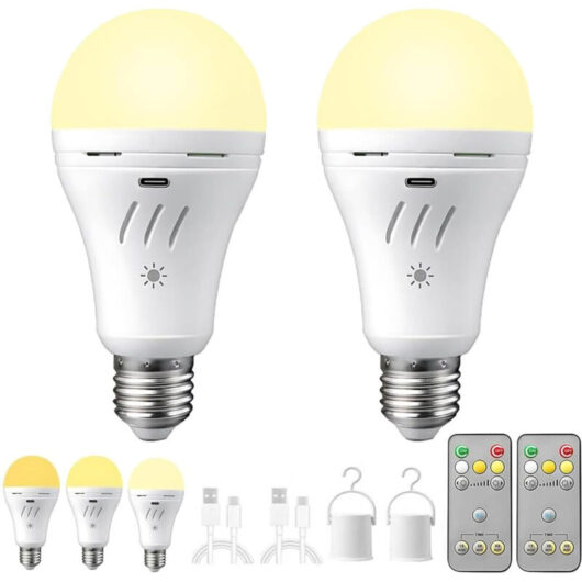 2 Rechargeable LED E27 Bulbs - 2200 mAh - 3 Brightness Levels - Remote - Timer - Camping and Power Outage Emergency Light