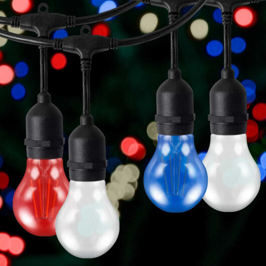 nxt gen Premium 10m Connectible Outdoor Festoon Light E27 with 20x LED GLS Bulbs Red, White and Blue in Black String Decking Coloured 10 Metre Gazebo