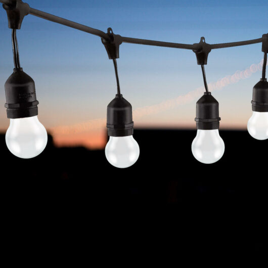 nxt gen Premium 10m Connectible Outdoor Festoon Light E27 with 20x LED Golfball Bulbs White in Black String Decking Coloured 10 Metre Gazebo Lights